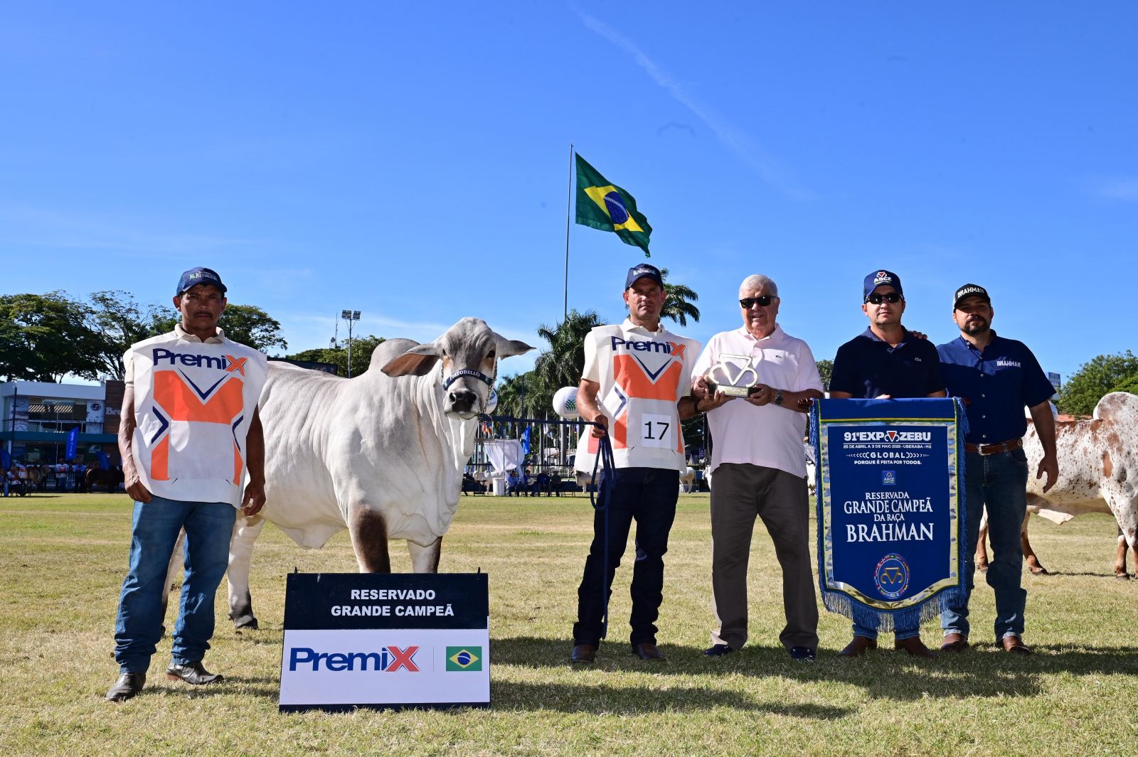 Conheça os Grandes Campeões da 91ª ExpoZebu | Notícias | ABCZ